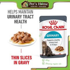 Pate Royal Canin Urinary Care thức ăn ướt phòng ngừa sỏi thận cho mèo Pháp gói 85g