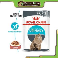 Pate Royal Canin Urinary Care phòng ngừa sỏi thận cho mèo 85g