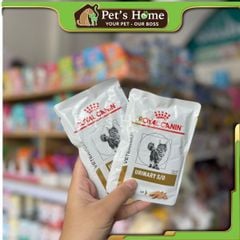 Pate Royal Canin Urinary S/O Feline cho mèo gói 85g