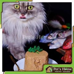 Pate tươi The Pet 100% thức ăn tươi cho mèo không chất bảo quản tự làm tại Việt Nam 1kg