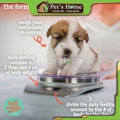 Sữa PetAg Esbilac Puppy Milk Replacer Powder sữa bột thay thế sữa mẹ cho chó sơ sinh Mỹ lon 340g