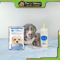 PetAg Esbilac Puppy Milk Replacer Powder 340g