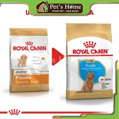 Hạt Royal Canin Poodle [500g, 1,5kg] Thức ăn hạt cho chó Poodle Pháp