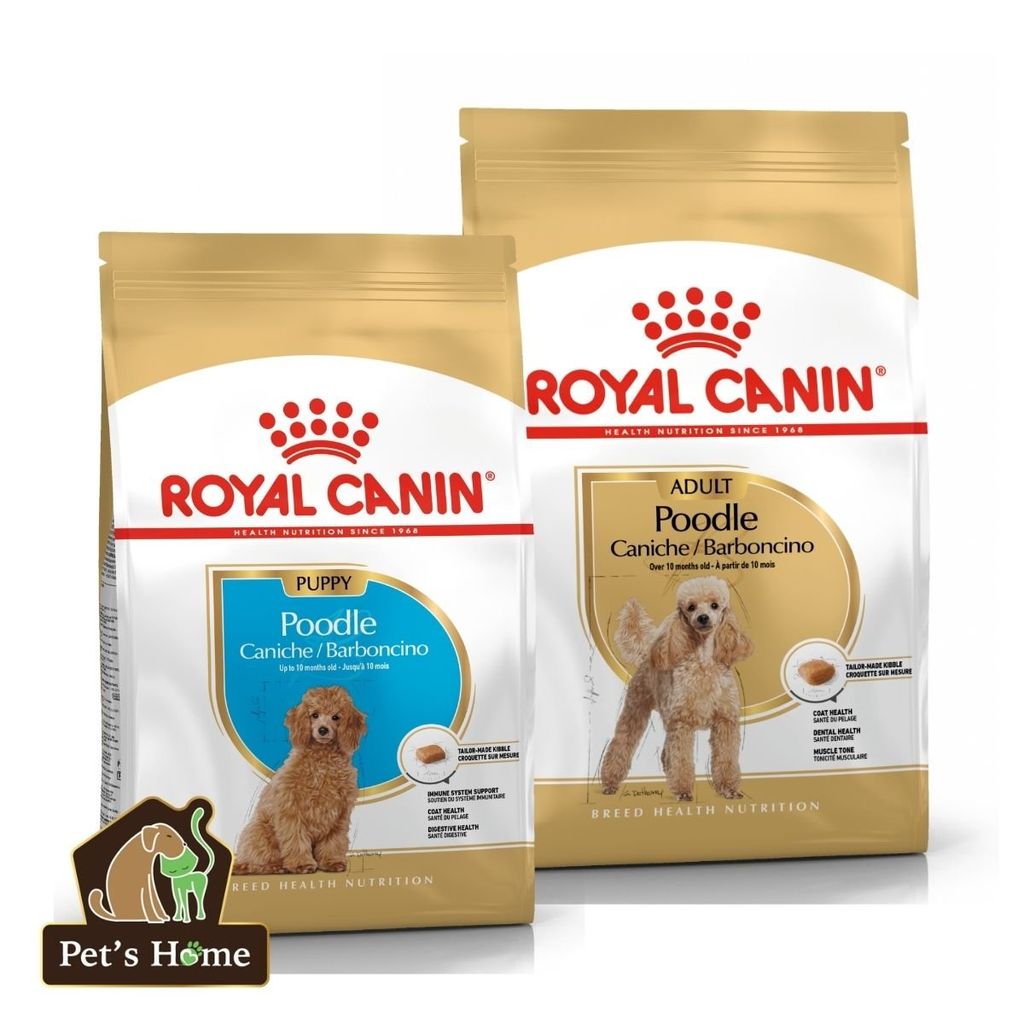 Hạt Royal Canin Poodle Adult - Thức ăn hạt cho giống chó Poodle trên 10 tháng tuổi