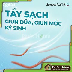 Simparica trị ngoại ký sinh trùng cho chó