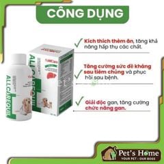 Siro giải độc gan Allcarequil 50ml