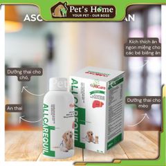 Siro giải độc gan Allcarequil 50ml