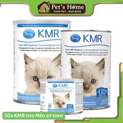 Sữa bột KMR cho mèo con 340g