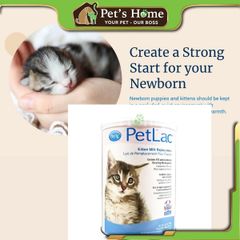 Sữa PetLac sữa bột hỗ trợ tiêu hoá và bổ sung chất dinh dưỡng cho mèo con Mỹ lon 300g