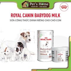 Sữa Royal Canin BabyDog Milk sữa bột thay thế sữa mẹ cung cấp DHA tốt cho trí não cho chó sơ sinh Mỹ hộp 2kg