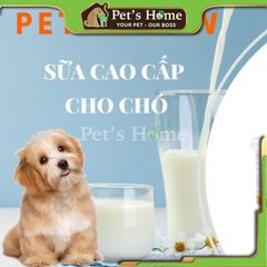 Sữa Pet Grow sữa bột dinh dưỡng chứa các Axit Amin thiết yếu cho chó con nội địa lon 200g