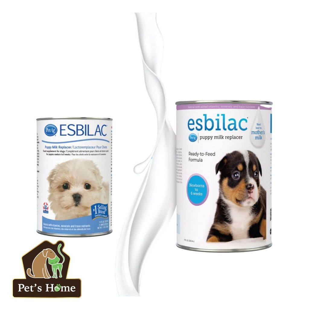 Sữa Esbilac Liquid sữa pha sẵn thay thế sữa mẹ, hỗ trợ tiêu hoá cho chó sơ sinh Mỹ lon 325ml