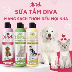 Sữa tắm DIVA sữa tắm thơm, giữ mùi hương lâu, mượt lông cho chó mèo nội địa 260ml