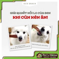 Bánh thưởng Natural Core snack thịt gà, thịt vịt sấy, snack mềm cho chó Hàn Quốc 40g