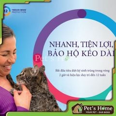 [CHÍNH HÃNG] Viên nhai Bravecto loại bỏ ve rận, bọ chét, viêm da, ghẻ cho chó