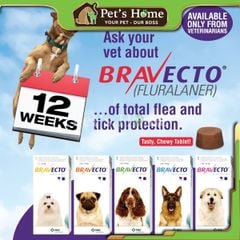 [CHÍNH HÃNG] Viên nhai Bravecto loại bỏ ve rận, bọ chét, viêm da, ghẻ cho chó