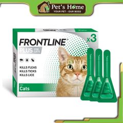 Nhỏ gáy trị ve rận cho mèo Frontline Plus