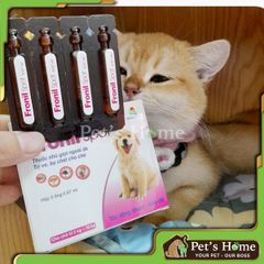 Nhỏ gáy Fronil Spot ngăn ngừa, giảm ve, rận, bọ chét, bọ nhảy cho chó nội địa (có bán tuýp lẻ)