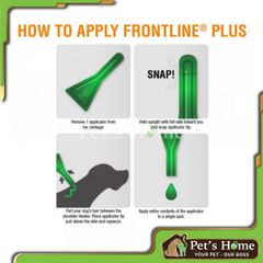 Thuốc trị ve rận cho chó Frontline Plus nhỏ gáy