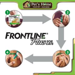 Thuốc trị ve rận cho chó Frontline Plus nhỏ gáy