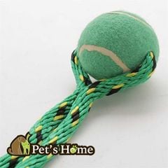 Đồ chơi kéo co & banh tennis
