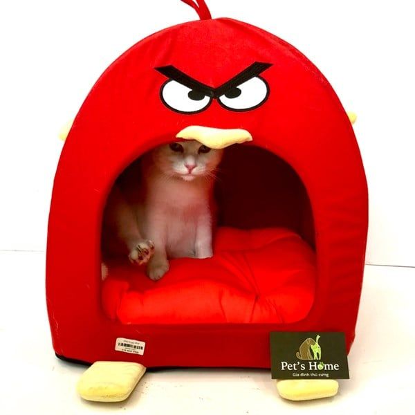 ABC - Nhà Angry Bird