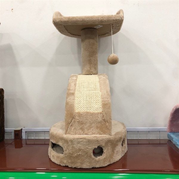 Cây mèo ghế ngồi cầu tuột