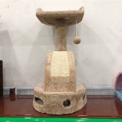 Cây mèo ghế ngồi cầu tuột
