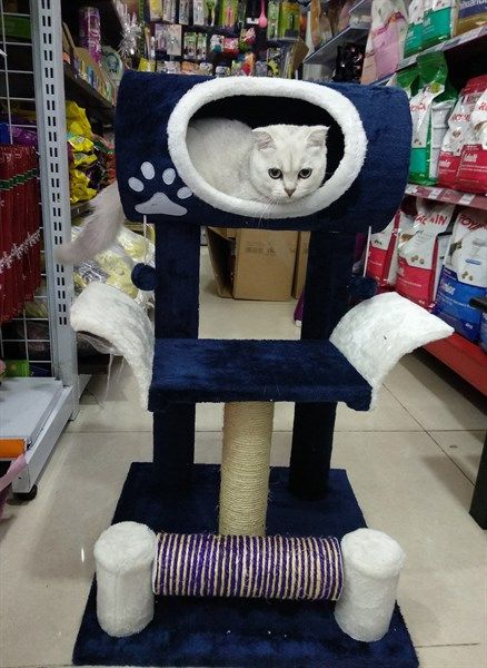 Cây nhà mèo hình ghế Aimigou QQ80038