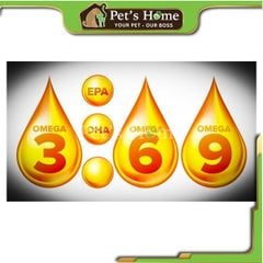 Viên Dầu Cá O3 Gold Omega 3 Fish Oil hỗ trợ dưỡng da, mượt lông cho chó mèo Thái Lan hộp 100 viên