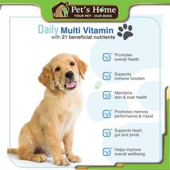 Viên nhai Pet Naturals Daily Multi viên bổ sung dinh dưỡng, vitamin và khoáng chất cần thiết cho chó