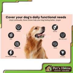 Viên nhai Pet Naturals Daily Multi viên bổ sung dinh dưỡng, vitamin và khoáng chất cần thiết cho chó