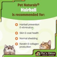 Viên nhai Pet Naturals Hairball giảm, ngăn ngừa búi lông, hỗ trợ đẹp da lông cho mèo túi 30 viên