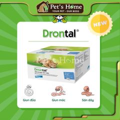 Xổ giun Drontal Cat cho mèo