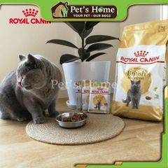 Pate Royal Canin British Shorthair thức ăn uớt mềm cho giống mèo Anh Lông Ngắn Pháp gói 85g