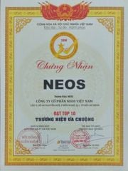 Đồng Hồ Neos N-30852M Nam Dây Thép Bạc Phối Vàng