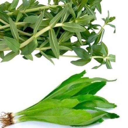 Combo ngò gai 200g + ngò ôm 200g