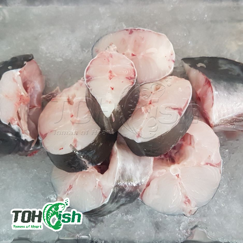  Cá Lăng Nha cắt khoanh 500g/gói 