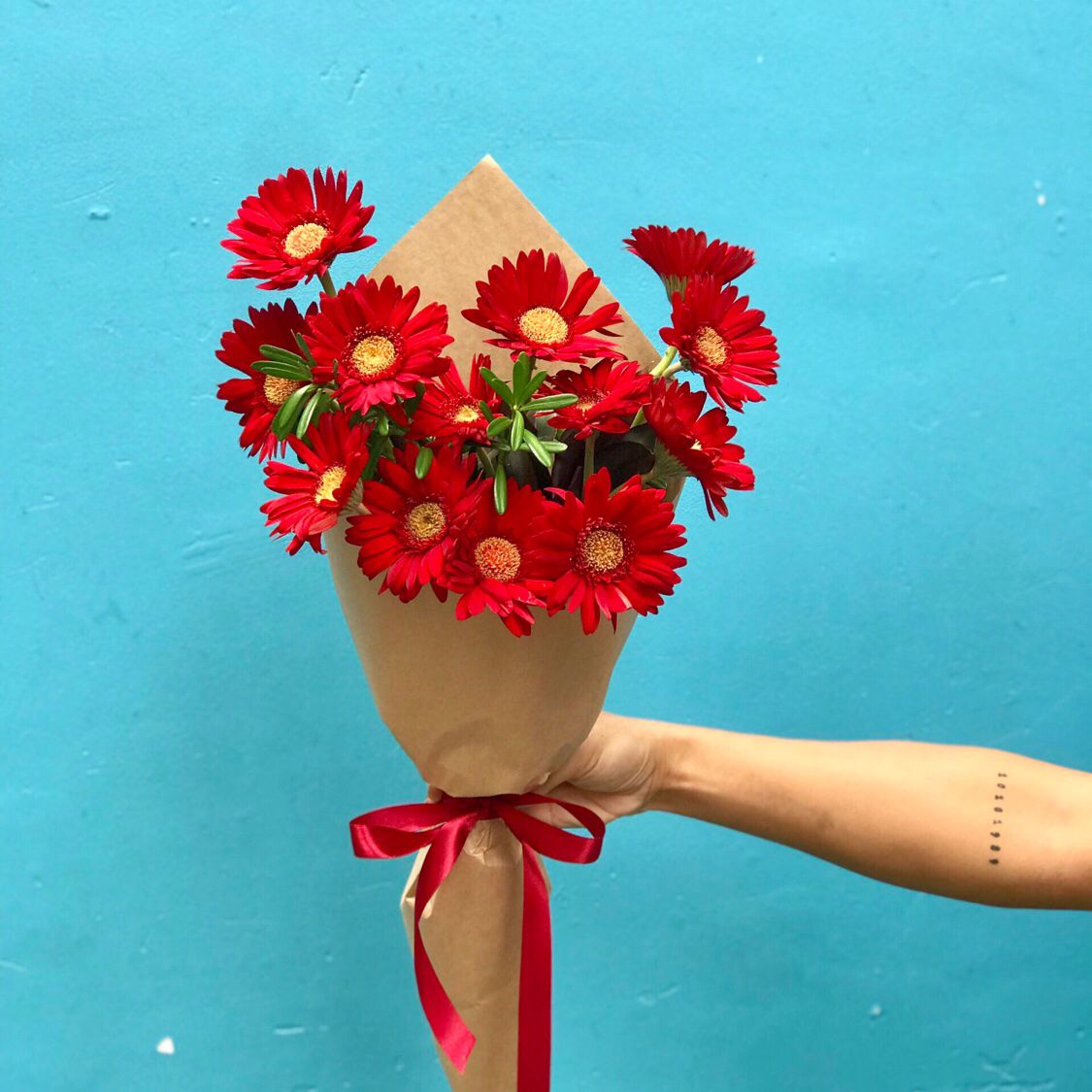 Little Red (Đồng Tiền Nhí) – Hoa Nói