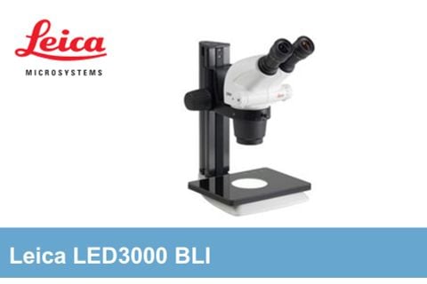Kính hiển vi quang học soi nổi – Leica LED3000 BLI