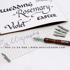 [DA ĐEN] Bộ Bút Sắt Signature Calligraphy Mont Marte 9 Ngòi