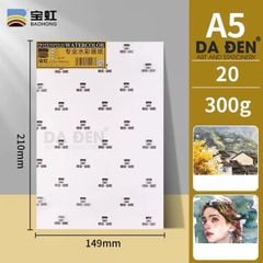 Túi 20 Tờ Baohong 300gsm Chất Giấy Bột Gỗ Professional