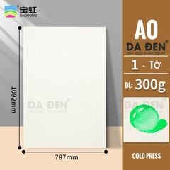 Giấy Baohong (Dòng Academy) Size A0(78.2x109.2cm) 100% Cotton (1 Tờ)