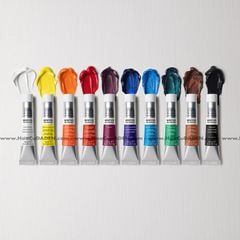 Màu Winton Oil Colour 10 x 12ml Winsor & Newton Sơn Dầu