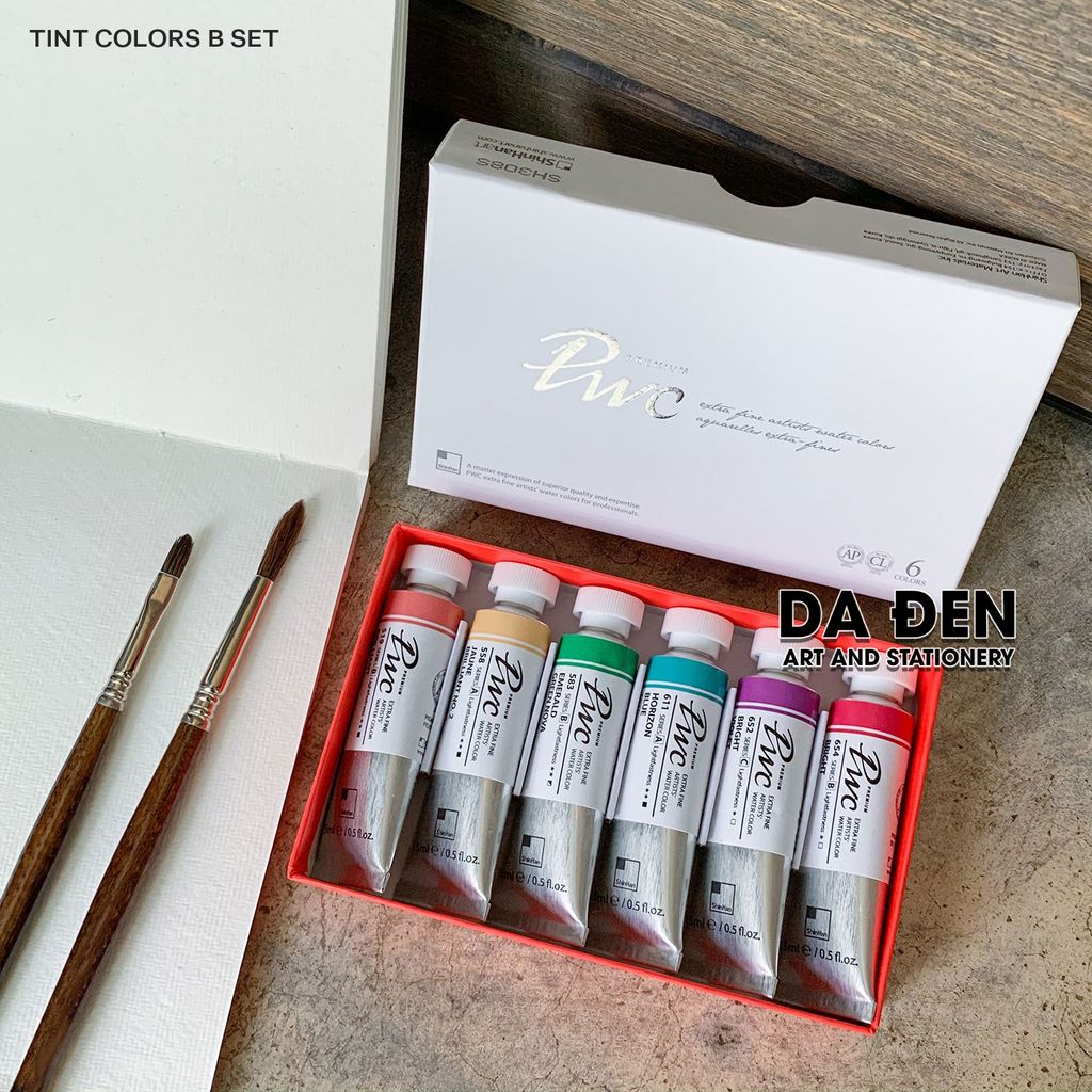 Màu Nước Shinhan Art PWC Artist TINT Set B 6 Tube