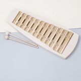  Đàn gõ Glockenspiel 12 note 440Hz | AURIS | NHẠC CỤ 