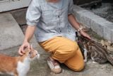  Quần jogger | Halfpanama Jogger pants | CHOI SEWING | PRE-ORDER 