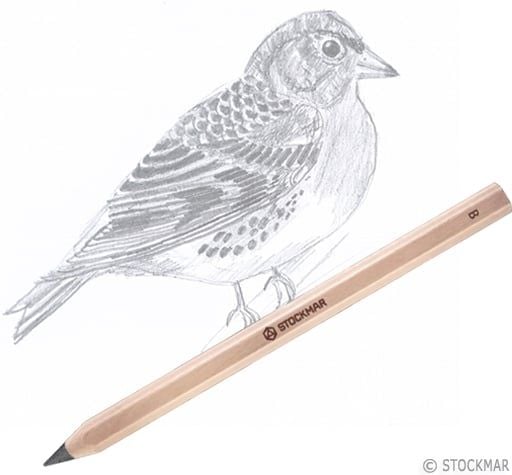  19 cây bút chì B tiết diện lục giác | Pencil | STOCKMAR | HỌC CỤ 