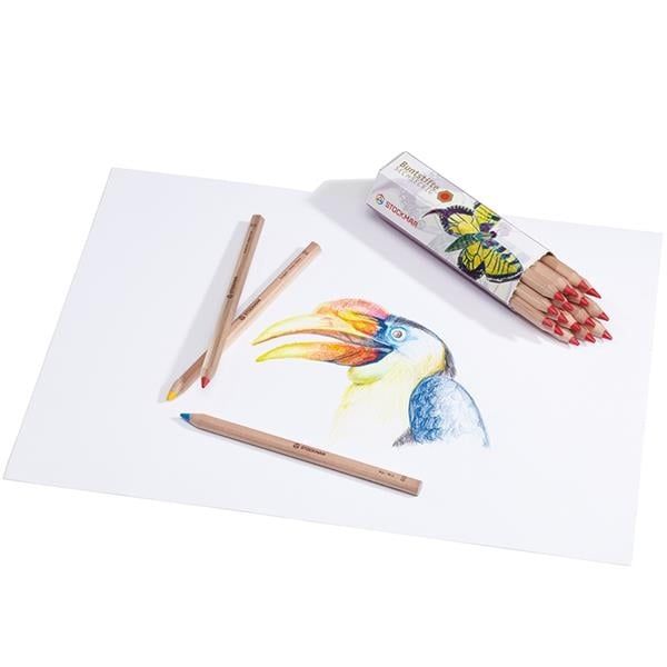  Màu chì tiết diện lục giác | Hexagonal colored pencil | STOCKMAR | HỌA CỤ 