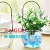 Hũ Thủy Tinh Bí Ngô 200ml Nắp Gỗ Ép